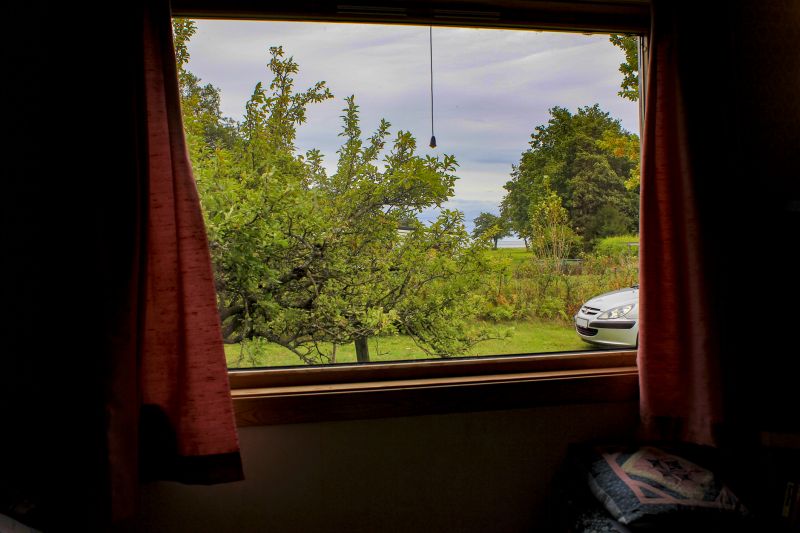 Best Window Replacement Contractors in Covington, KY